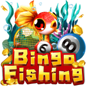 Bingo Fishing Spin Plus