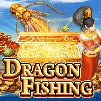 Dragon Fishing Spin Plus