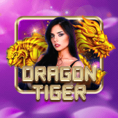 Dragon Tiger Spin Plus