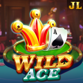 Wild Ace Spin Plus